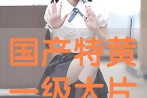 国产特黄大片,揭秘特黄大片背后的故事与影响